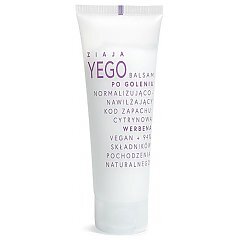 Ziaja Yego 1/1