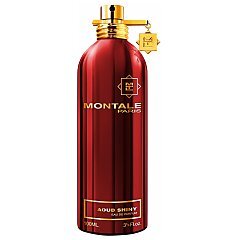 Montale Aoud Shiny 1/1