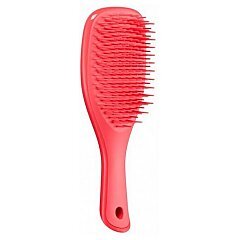 Tangle Teezer The Wet Detangler Mini 1/1