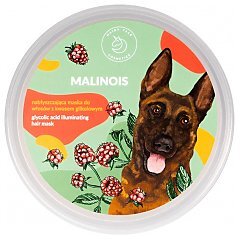 Hairy Tale Malinois 1/1
