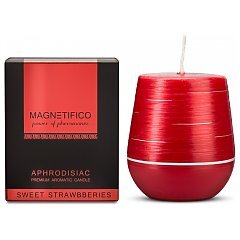 Magnetifico Aphrodisiac Premium Aromatic Candle 1/1