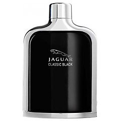 Jaguar Classic Black 1/1