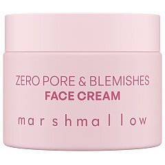 Nacomi Zero Pore & Blemishes 1/1