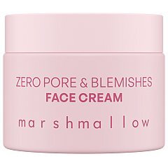 Nacomi Zero Pore & Blemishes 1/1