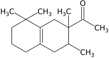 Nowy duet Escentric Molecules 04