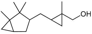 Nowy duet Escentric Molecules 04