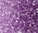 Claresa Soak Off UV/LED Starlight Lakier hybrydowy do paznokci 5g 5