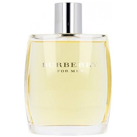 burberry burberry for men