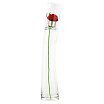 Flower by Kenzo Woda toaletowa spray 100ml