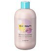 Inebrya Ice Cream Liss-Pro Szampon wygładzający włosy 300ml