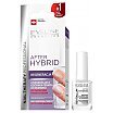Eveline After Hybrid Manicure Revitalum Odżywka utwardzająca do paznokci 12ml