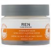 REN Clean Skincare Overnight Glow Dark Spot Sleeping Cream Rrozjaśniający krem na noc 50ml