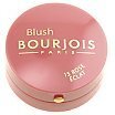 Bourjois Blush Róż 2,5g 15 Rose Éclat