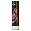 Christian Audigier Ed Hardy Woda toaletowa spray 100ml