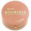 Bourjois Blush Róż 2,5g 85 Sienne