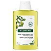 Klorane Purifying Shampoo Oczyszczający szampon do włosów z ekstraktem z cytrusów 200ml