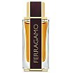 Salvatore Ferragamo Spicy Leather Perfumy spray 100ml
