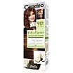 Delia Cameleo Color Essence Krem koloryzujący do włosów 75g 6.3 Golden Chestnut