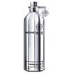 Montale Fougeres Marines Woda perfumowana spray 100ml