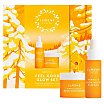 Lumene Nordic-C Feel Good Glow Gift Set Zestaw esencja do twarzy 30ml + krem do twarzy 50ml