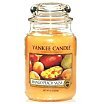 Yankee Candle Świeca zapachowa 623g Mango Peach Salsa