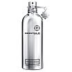 Montale Fantastic Basilic Woda perfumowana spray 100ml