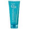 Body Resort Blue Cukrowy peeling do ciała z ekstraktem z kokosa 250g