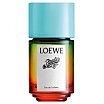 Loewe Paula's Ibiza Woda toaletowa spray 50ml