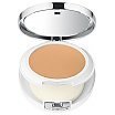 Clinique Beyond Perfecting Powder Foundation + Concealer Puder - korektor 14,5g 14 Vanilla