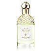 Guerlain Aqua Allegoria Herba Fresca 2022 Woda toaletowa spray 75ml