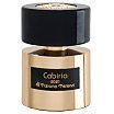 Tiziana Terenzi Cabiria Ekstrakt perfum spray 100ml