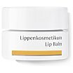 Dr. Hauschka Lip Balm Balsam do pielęgnacji ust 4,5ml