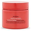 Aveda Nutriplenish Treatment Masque Deep Moisture Głęboko nawilżająca maska do włosów 25ml